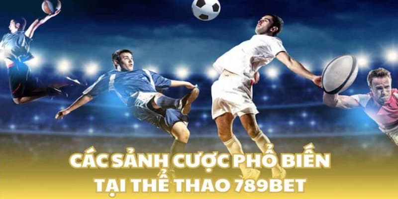 Nhà cái 789bet tích hợp đa dạng các sảnh cược lớn