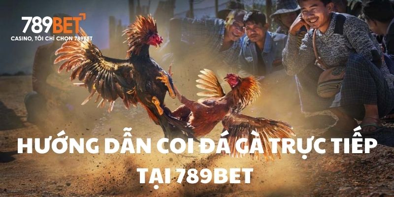  Các bước tiến hành coi đá gà trực tiếp Thomo 789BET 