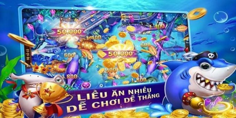 Kinh nghiệm săn cá từ cao thủ