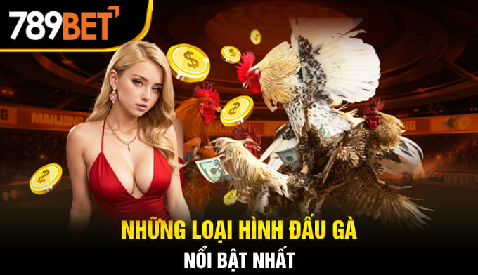 Những loại hình đấu gà nổi bật nhất 