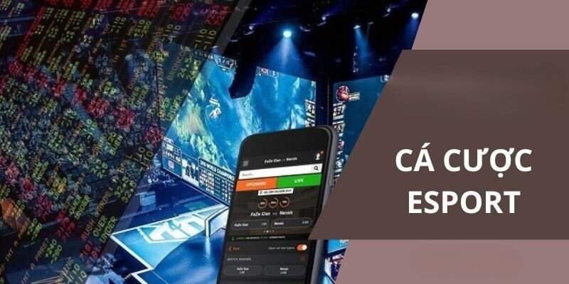 Giới thiệu nền tảng cược eSports 789Bet