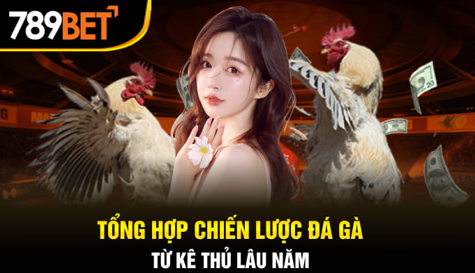 Tổng hợp chiến lược đá gà từ kê thủ lâu năm